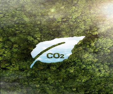 Reducing Carbon Footprint